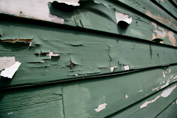 Best Recycling Services for Junk  in Wautoma, WI